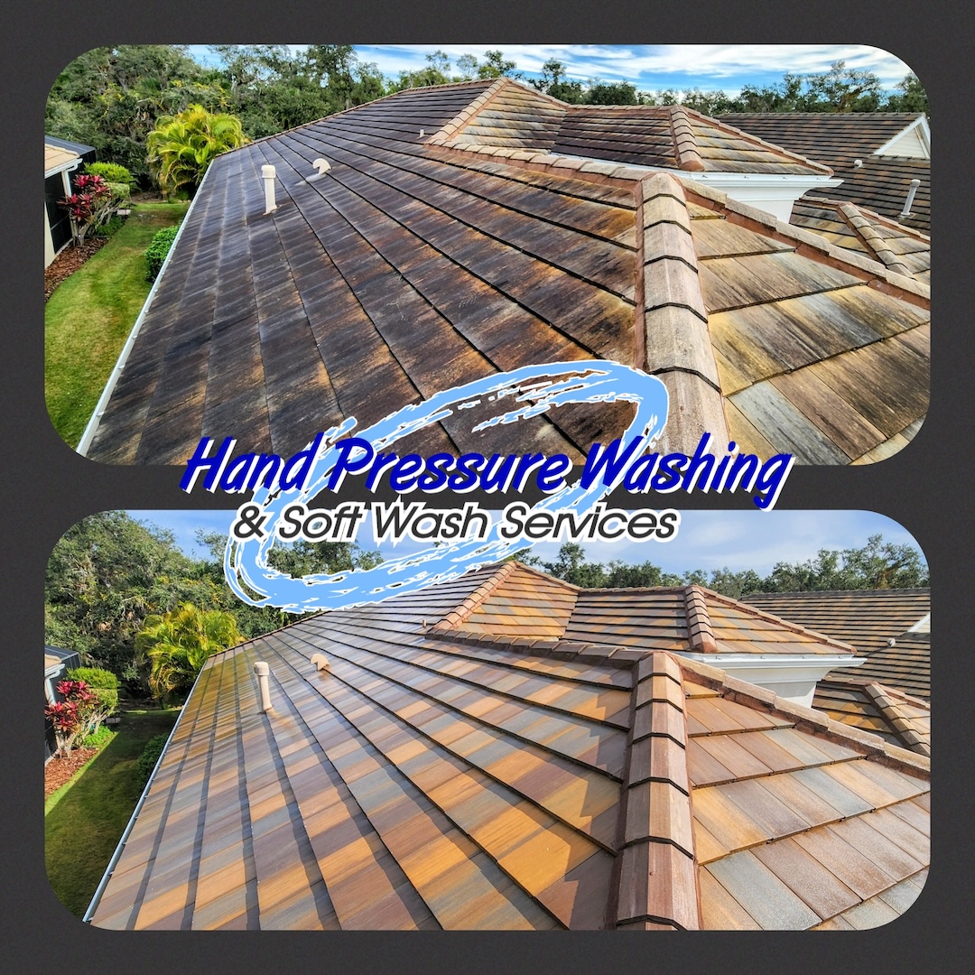 Roof Cleaning